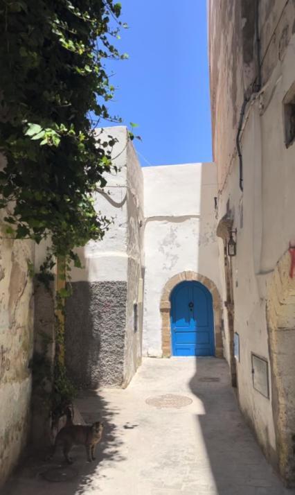 Riad Petite Reverie الصويرة المظهر الخارجي الصورة